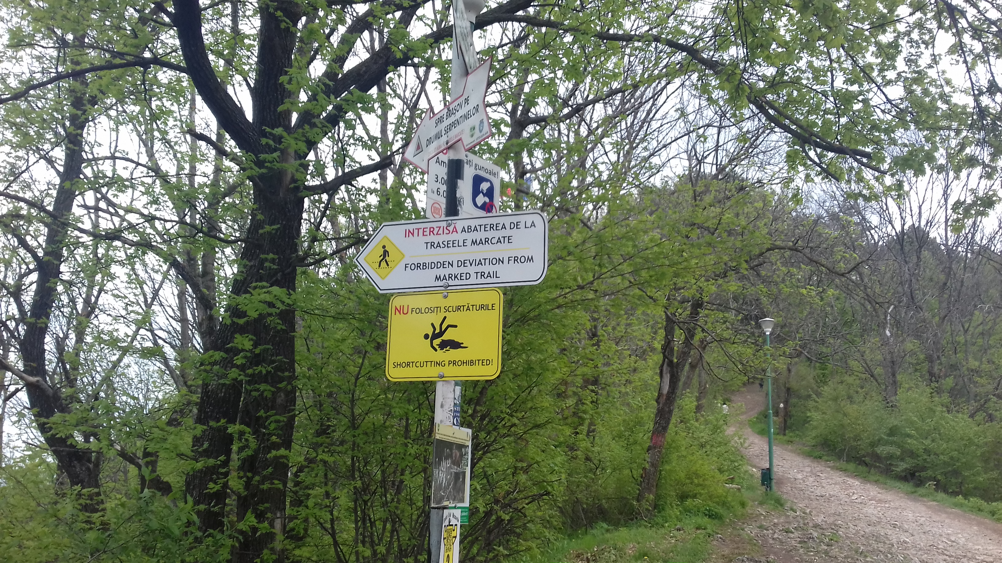 20190505_142900[1]