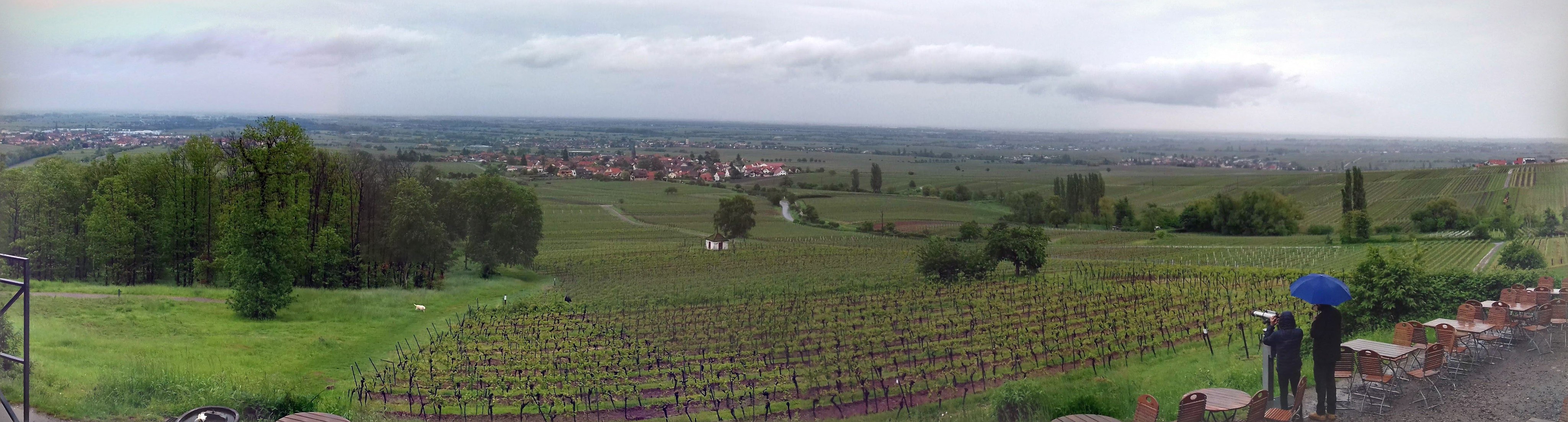 20190521_165140-pano